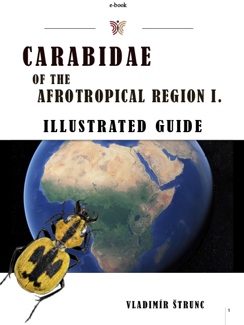 Cicindelidae of Africa
